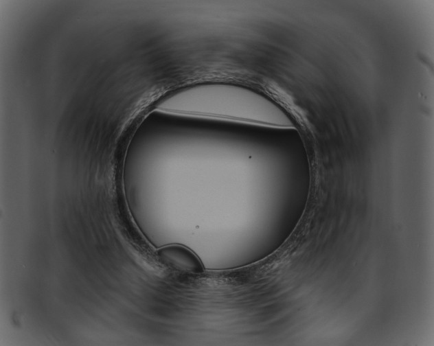 X0000094910250200711291006