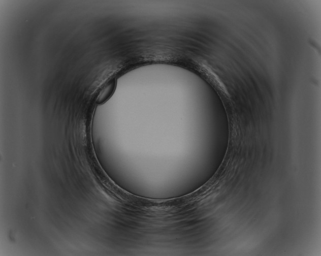 X0000094910251200711291006