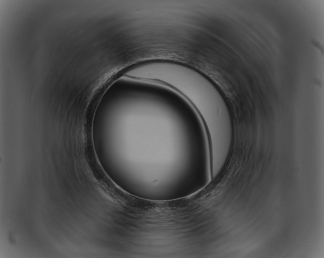 X0000094910252200711291006