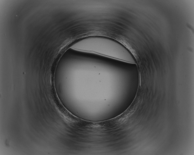 X0000094910253200711291006