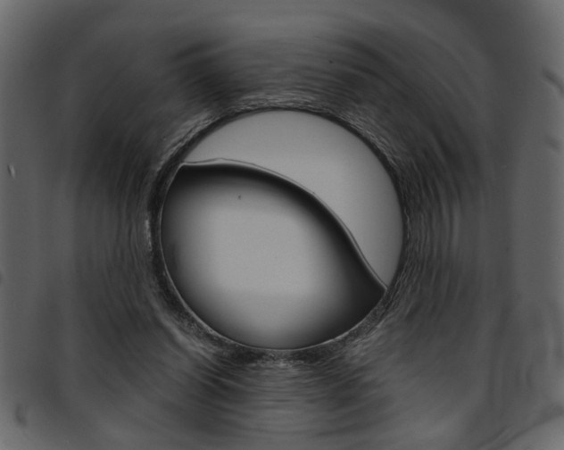 X0000094910254200711291006