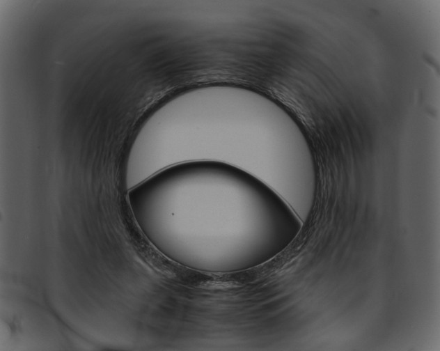 X0000094910255200711291006