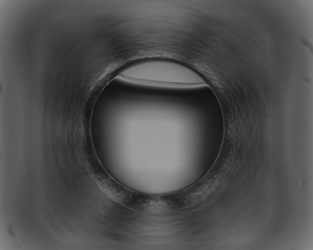 X0000094910256200711291006