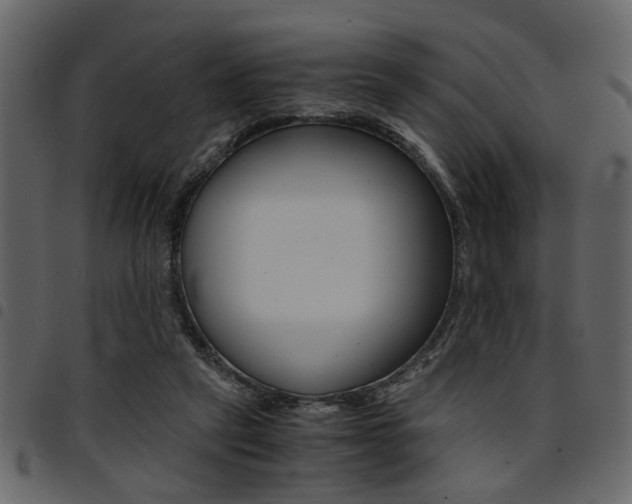 X0000094910257200711291006