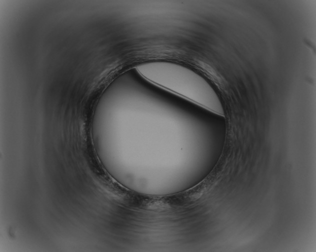 X0000094910258200711291006
