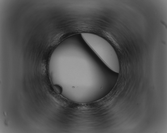 X0000094910259200711291006