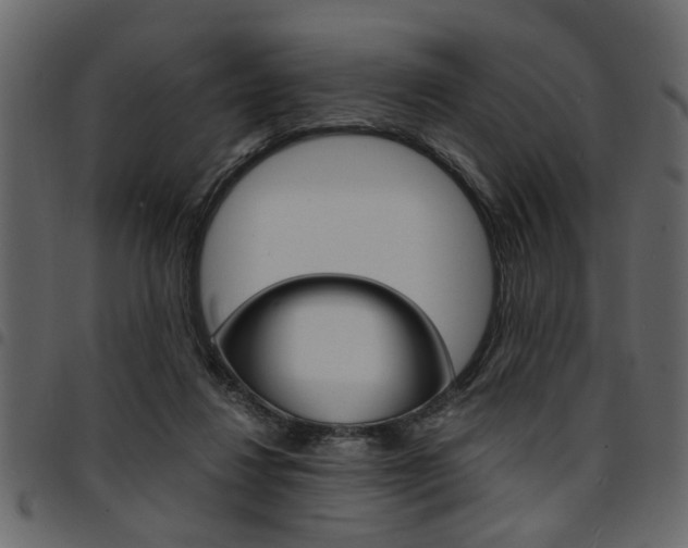 X0000094910260200711291006