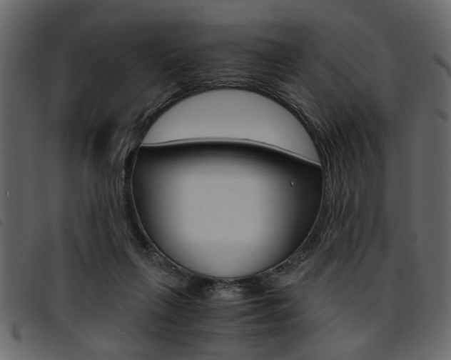 X0000094910263200711291006