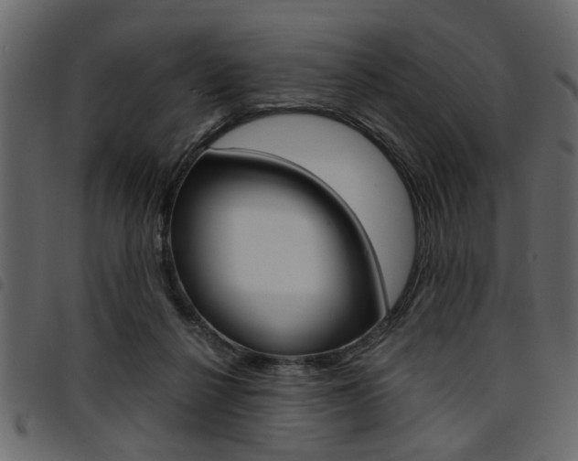 X0000094910264200711291006