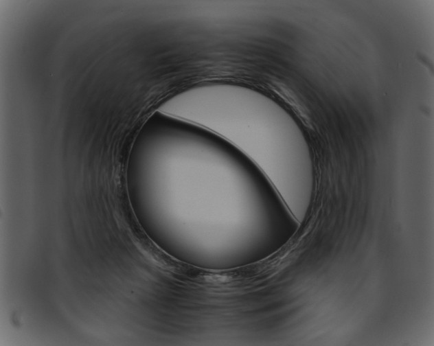 X0000094910265200711291006