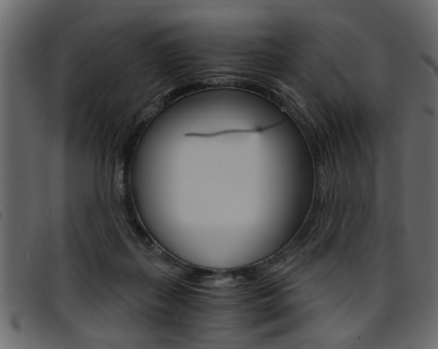 X0000094910267200711291006