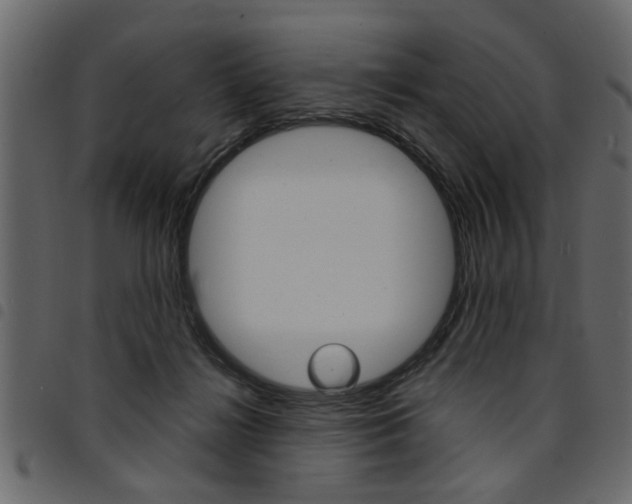 X0000094910268200711291006
