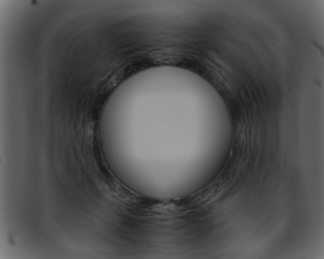 X0000094910271200711291006