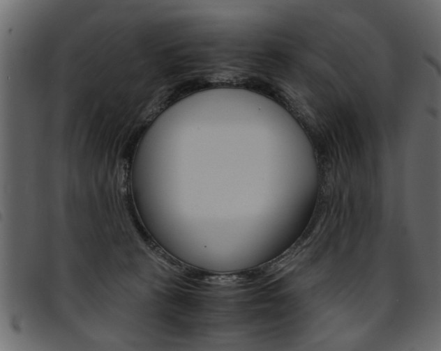 X0000094910273200711291006
