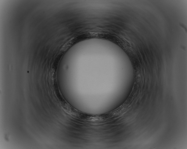 X0000094910275200711291006