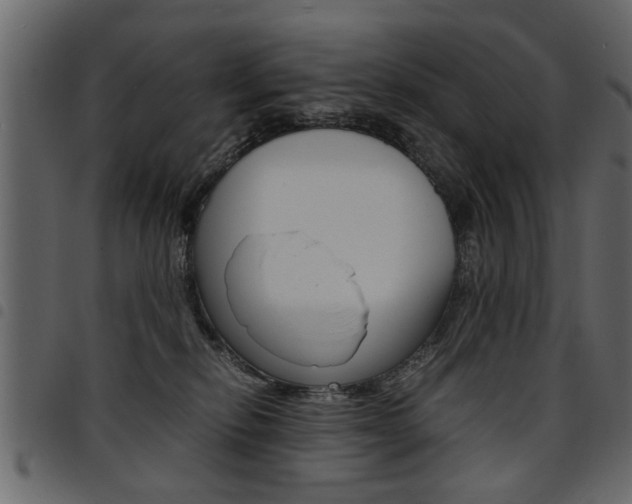 X0000094910278200711291006