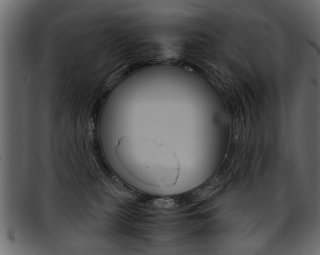 X0000094910279200711291006