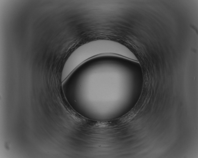 X0000094910280200711291006