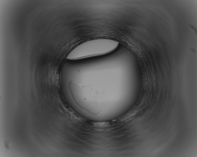 X0000094910281200711291006