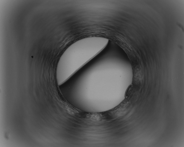 X0000094910282200711291006