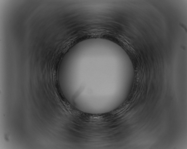 X0000094910283200711291006
