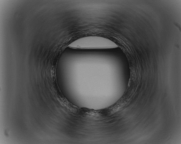 X0000094910284200711291006