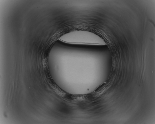 X0000094910285200711291006