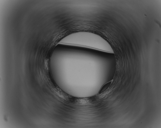 X0000094910286200711291006