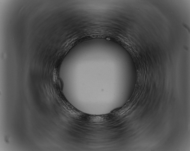 X0000094910287200711291006