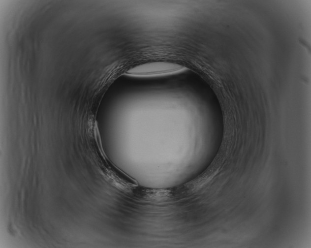 X0000094910288200711291006