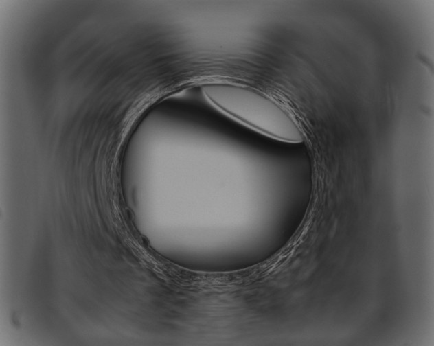 X0000094910289200711291006