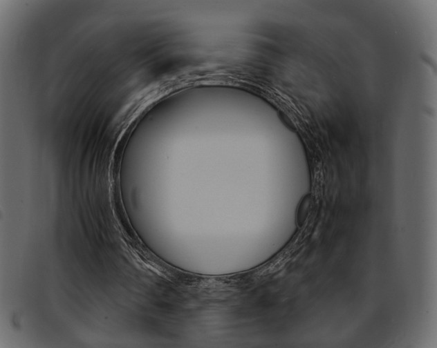 X0000094910290200711291006