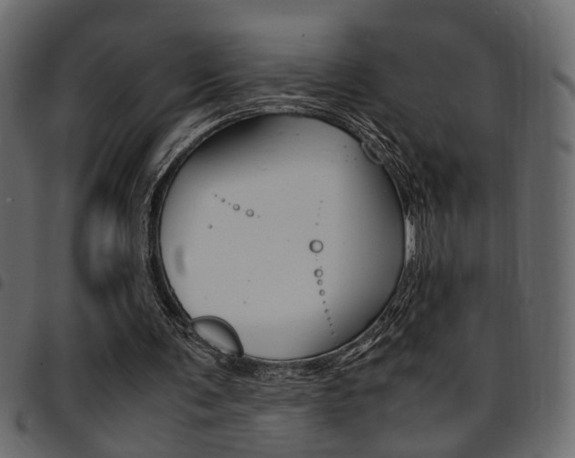 X0000094910291200711291006