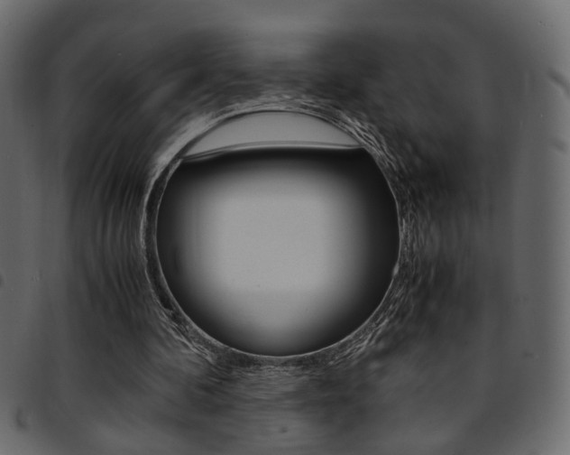 X0000094910292200711291006