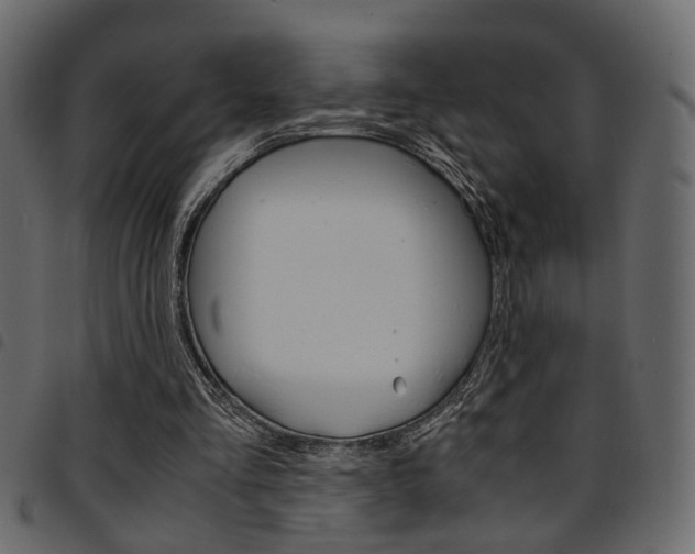 X0000094910293200711291006