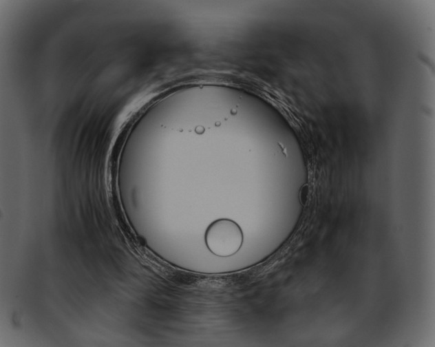 X0000094910294200711291006