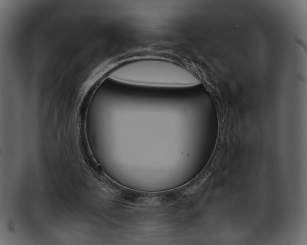 X0000094910295200711291006