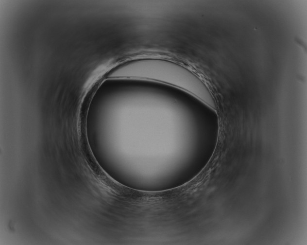 X0000094910296200711291006