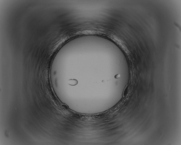 X0000094910297200711291006