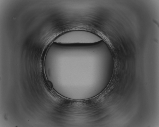 X0000094910298200711291006