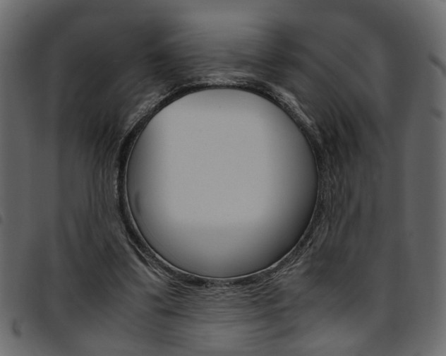X0000094910299200711291006