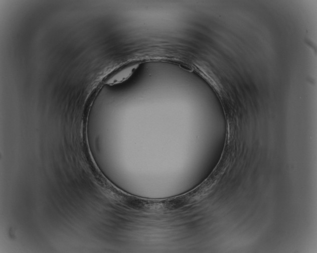 X0000094910301200711291006