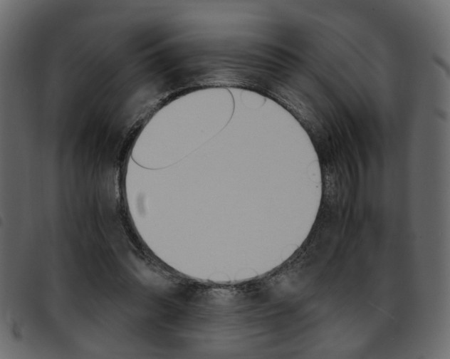 X0000094910302200711291006