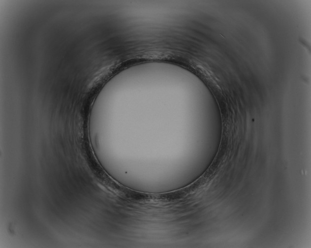 X0000094910303200711291006