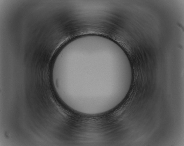 X0000094910304200711291006