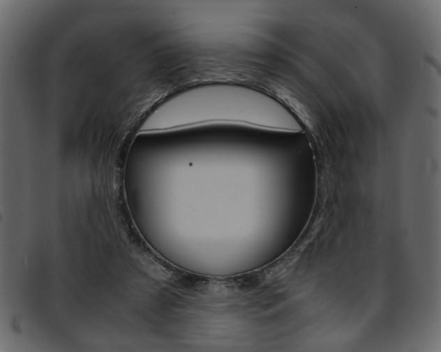 X0000094910305200711291006