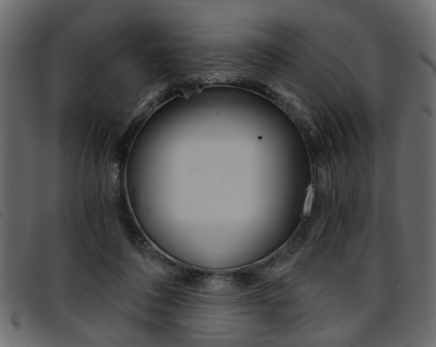 X0000094910308200711291006