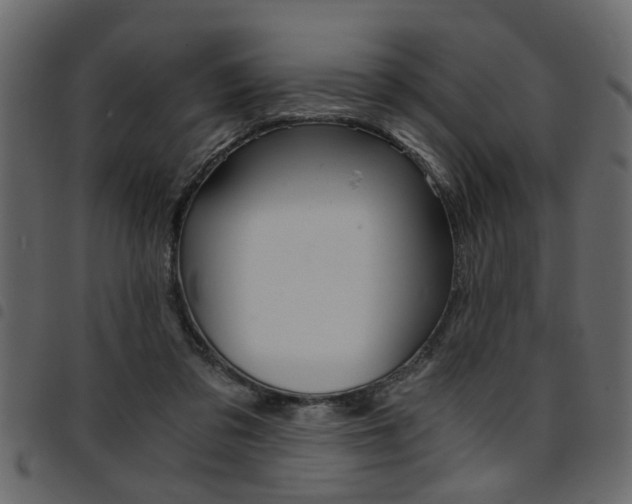 X0000094910309200711291006