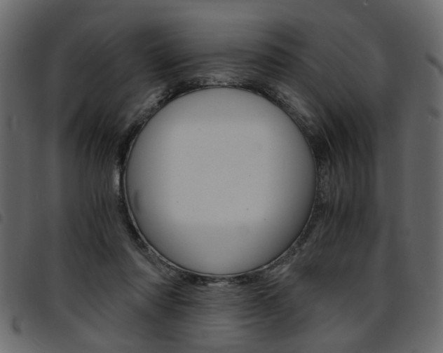 X0000094910310200711291005
