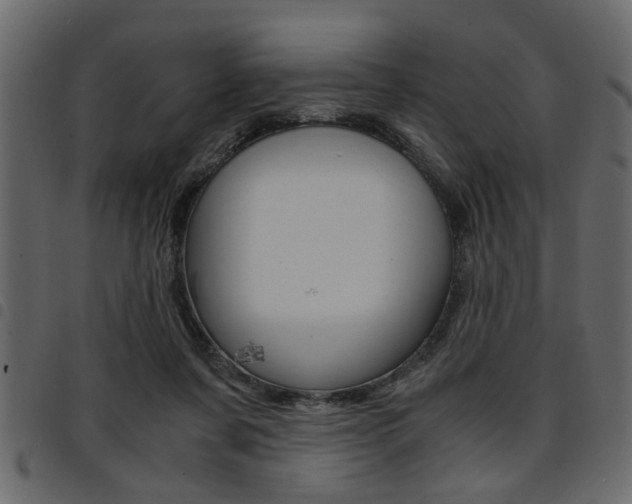 X0000094910311200711291005